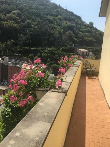 Pemandangan gunung umum atau pemandangan gunung yang diambil dari hotel