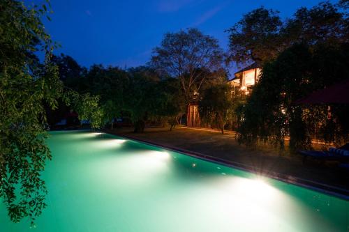 Πισίνα στο ή κοντά στο Flameback Eco Lodge