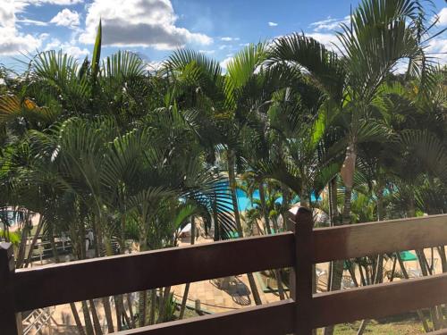 a fence with palm trees in front of a pool at Hotel Gran Minas in Vespasiano