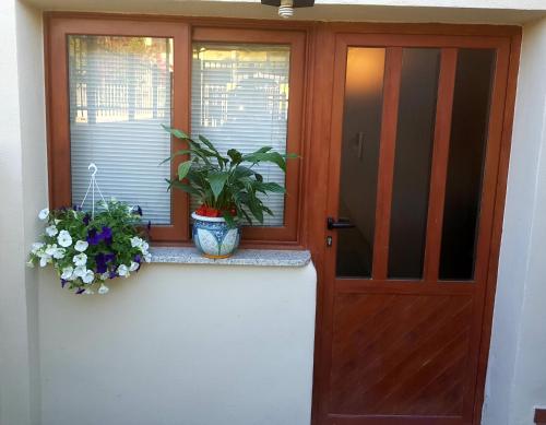 a house with a door and a window with flowers at Appartamento Porto Frailis in Tortolì