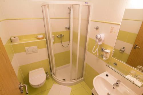 uma casa de banho com um chuveiro, um WC e um lavatório. em Penzion Maděřič em Moravský Žižkov