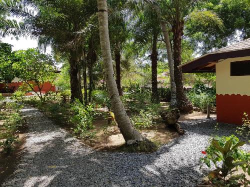 a garden with palm trees and a building at Ko-Sa Beach Resort Ltd in Ampeni
