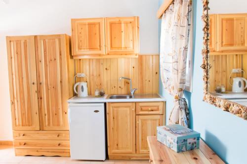 Kuchyň nebo kuchyňský kout v ubytování Sofia´s rooms