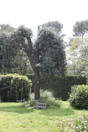 Ecole Buissonnière photo 14