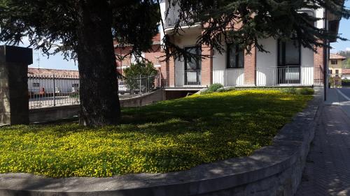 a tree in front of a building with a sidewalk at Residence La Quiete in Alba