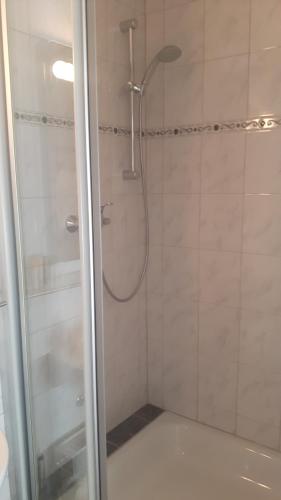 a shower with a glass door in a bathroom at Motel Route 216 in Göhrde
