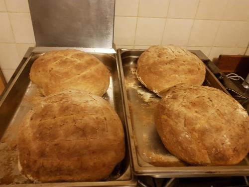 drie broden in trays in een keuken bij Chambre d'Hôte "Chez Antoinette et Charles" in Venaco