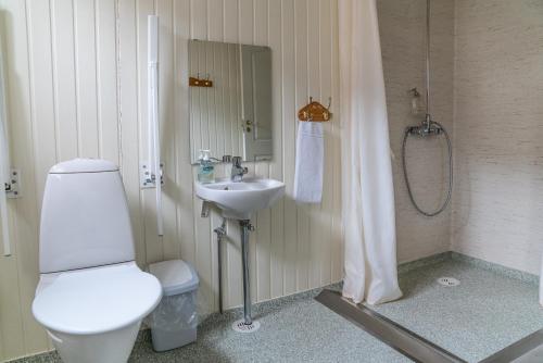 een badkamer met een toilet en een wastafel bij Guesthouse Ísafjördur - Gamla in Ísafjörður