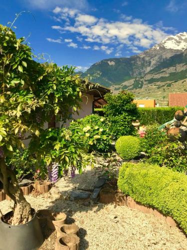a garden with a tree and a mountain in the background at B&B à la Madeleine in Vétroz