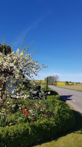 a flowering tree on the side of a road at Glimminge Bed & Breakfast in Simrishamn