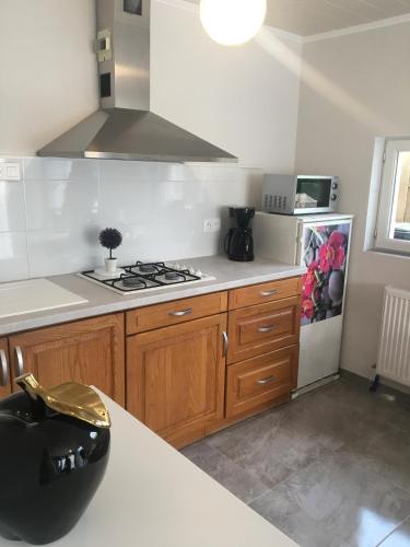 Il comprend une cuisine équipée d'une cuisinière. - un four supérieur à côté d'un réfrigérateur dans l'établissement cosy logement à la campagne, à Marthille