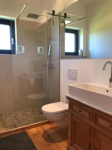 a bathroom with a toilet and a shower and a sink at Ferienhaus am Nationalpark in Morsbach