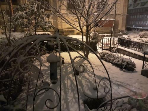 a metal gate covered in snow with a fire hydrant at Hôtel Boutique Saint-Louis in Lisieux
