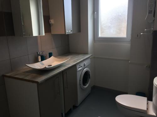 ein Badezimmer mit einer Waschmaschine und einem Waschbecken in der Unterkunft Le gîte du Canal des Ardennes in Le Chesne