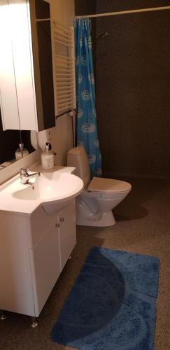 a bathroom with a sink and a toilet and a blue rug at Toscana Restaurant and Bed & Breakfast in Padborg