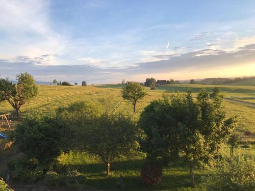 a view of a field with trees in the foreground at Allgäu Meadow Ranch in Hergatz