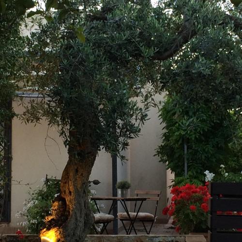 a table and a tree with a table and chairs at Dimora La Grazia in Castelvetrano Selinunte