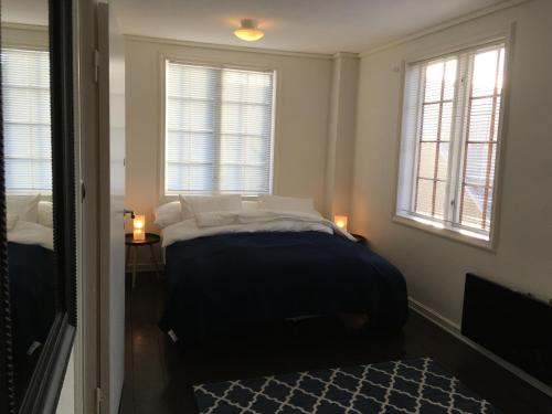 a bedroom with a bed with two windows and a blue rug at Ellingsens Apartment Egersund in Egersund