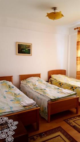 Postel nebo postele na pokoji v ubytování Pensiunea Anda