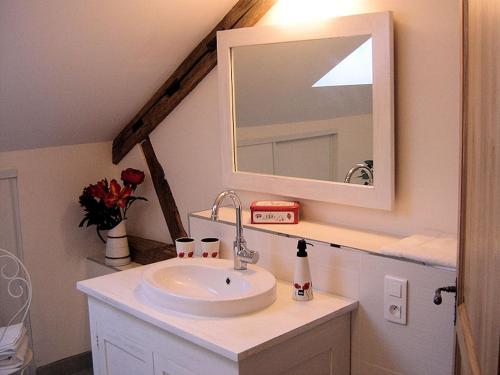 a bathroom with a sink and a mirror at B&B Les Cistelles in Saint-Nicolas-lès-Cîteaux