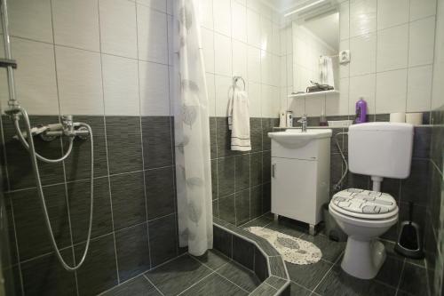 y baño con aseo y ducha. en Guesthouse Adi, en Mostar