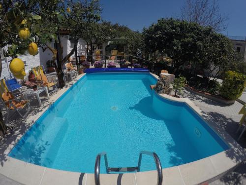 a large swimming pool with blue water at hotel la rondinella in Ischia