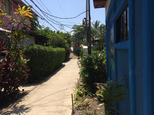 Gallery image of Green Macaw Hostel in Tortuguero