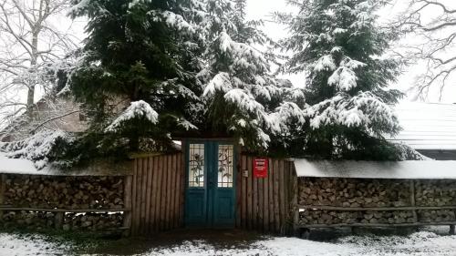 Το Bębnikąt Osada Leśna Puszcza Notecka τον χειμώνα