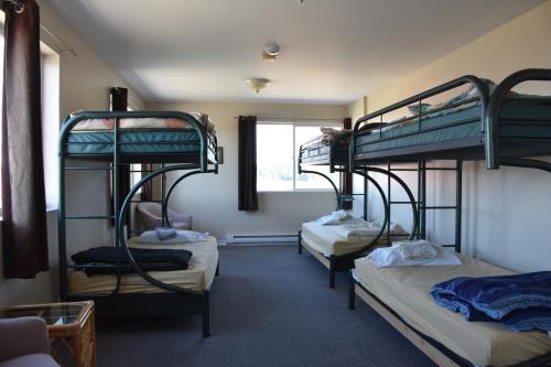 North Coast Trail Backpackers Ltd tesisinde bir ranza yatağı veya ranza yatakları