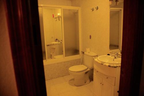 uma casa de banho com um WC e um lavatório em Apartamentos Turisticos Casa Pastor em Riaza