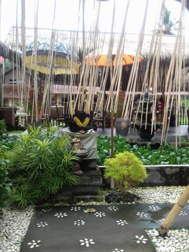Rice padi Artha – Photos 3