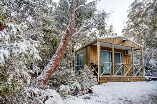 a cabin in the woods in the snow at Discovery Parks - Cradle Mountain in Cradle Mountain