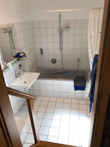 y baño con ducha y lavamanos. en Gut Bunt Ferienhaus, en Runkel