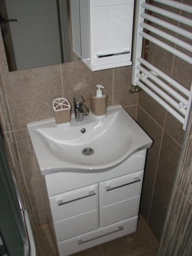 a bathroom with a white sink and a mirror at Apartment Vito in Plitvička Jezera