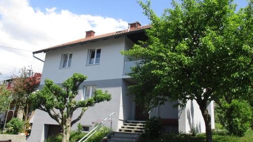 HaidingにあるWohnung in Haiding/Welsの目の前に木々が植えられた白い家