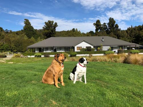 deux chiens assis dans l'herbe devant une maison dans l'établissement Lake Brunner Longhouse, à Moana