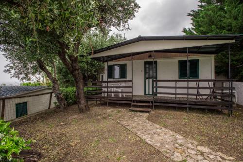 a small house with a porch and a tree at Residence Punta Cilento in Pisciotta