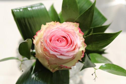 a pink rose in a vase with green leaves at Mon Port Hotel & Spa in Port d’Andratx