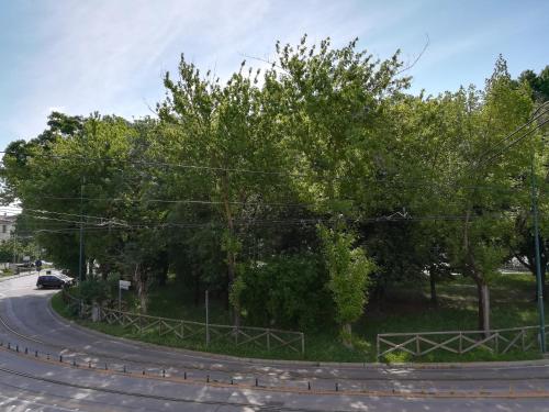 Φυσικό τοπίο κοντά σε αυτός ο ξενώνας