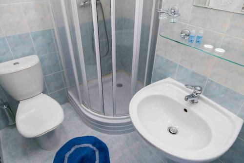 a bathroom with a shower and a toilet and a sink at Hotel Belvedere Příbram in Příbram