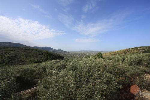 a view of auliculiculiculiculiculiculiculiculiculiculiculic at Casale Madeccia in Sonnino