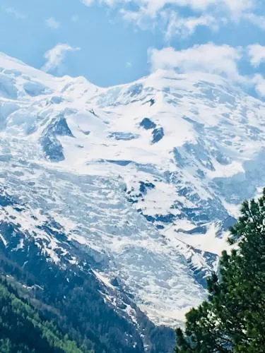 Appart'Hotel Aiguille Verte & Spa photo 60