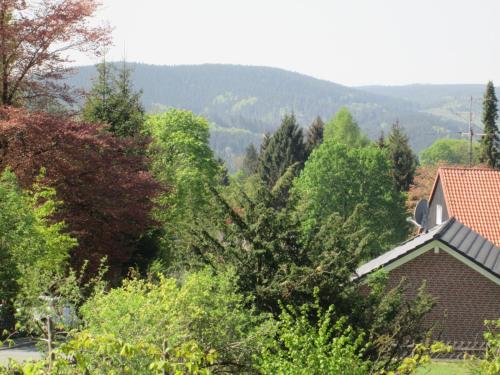a house with trees and a mountain in the background at Hotel Skandinavia in Sankt Andreasberg