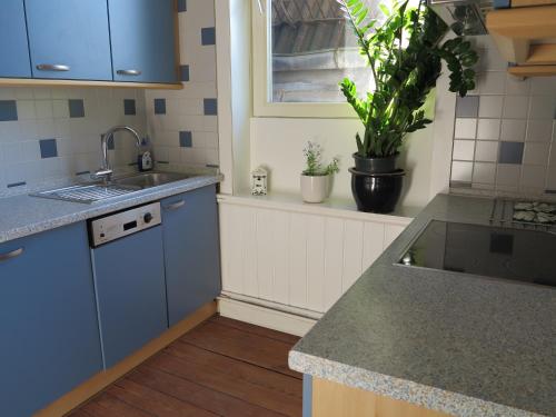 a kitchen with blue cabinets and a sink and a window at Ferienwohnung Krempe in Krempe