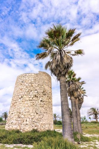 two palm trees next to a stone tower at I Limoni del Sud Sardegna in Assemini
