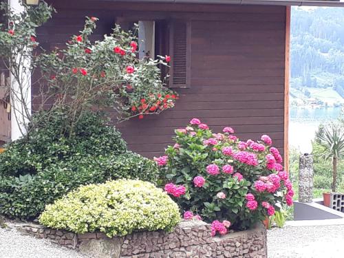 Κήπος έξω από το Pension Guggenbichler