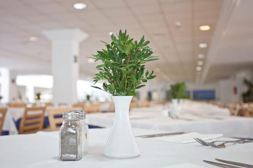 a white vase with a plant in it on a table at HYB Eurocalas in Calas de Mallorca