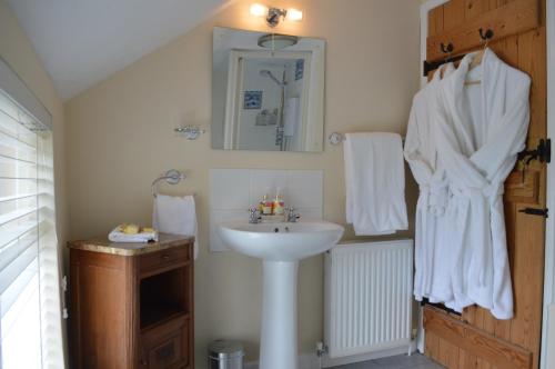 a bathroom with a sink and a mirror at Bumble Bee Cottage in Hartland