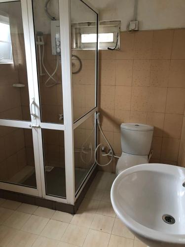 a bathroom with a shower and a toilet and a sink at Pedro View Homestay in Nuwara Eliya