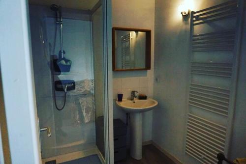 ein Bad mit einem Waschbecken und einer Dusche in der Unterkunft Rémalard appartement in Rémalard